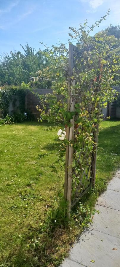 Au Gre Des Vents Bed & Breakfast Saint-Quay-Portrieux Luaran gambar